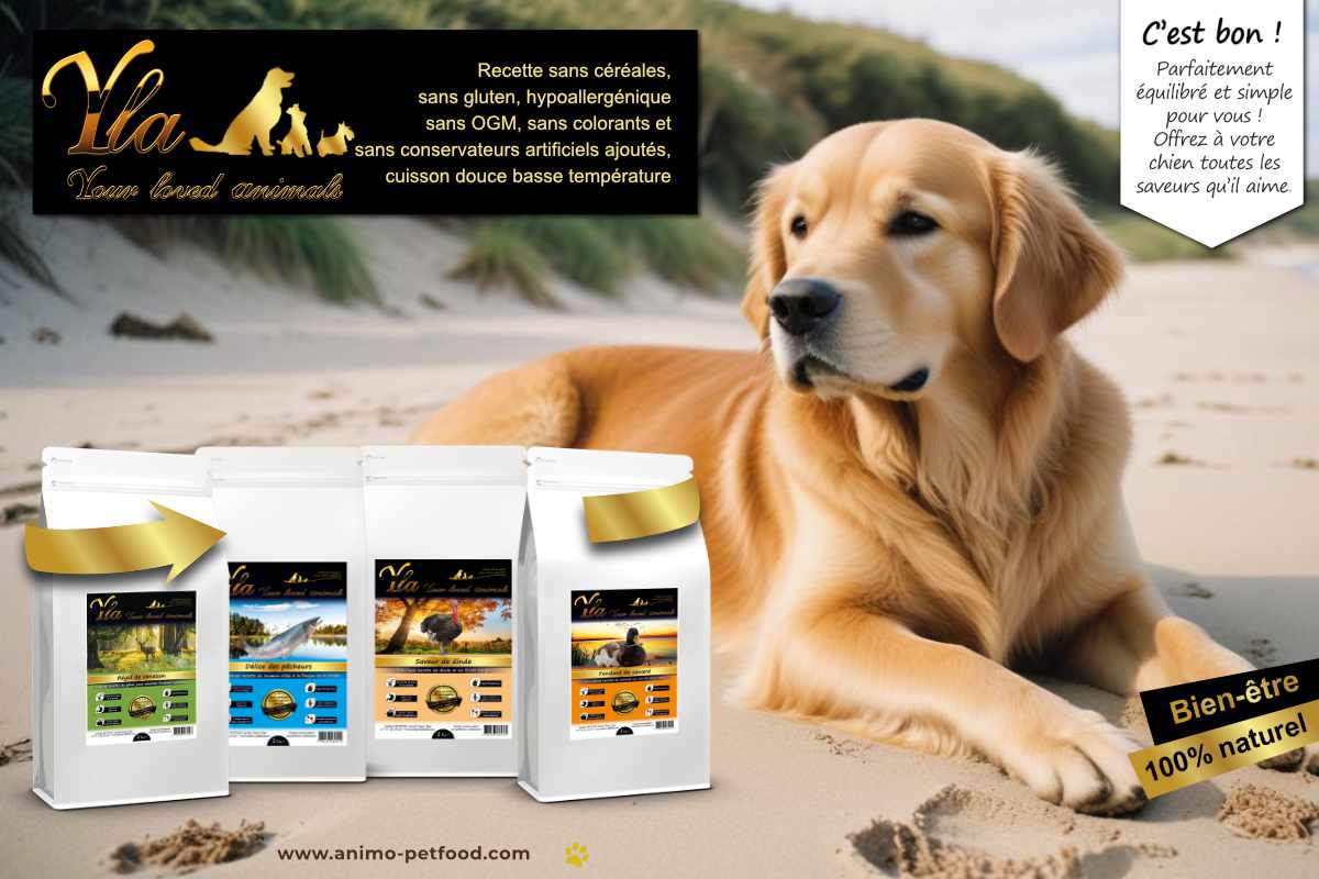 Recette sans céréales, sans gluten, hypoallergénique pour chien : sans OGM, sans colorants, sans conservateurs artificiels ajoutés. Cuisson douce à basse température pour un bien-être 100 % naturel